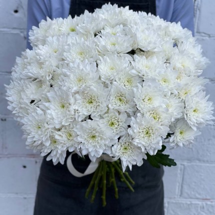 Белая кустовая хризантема - купить с доставкой в по Томску