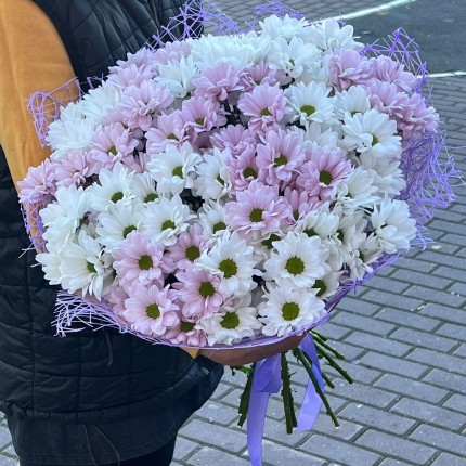 букет из розовой кустовой хризантемы - купить с доставкой в по Томску