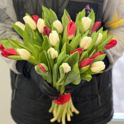 Заказать букет белых и красных тюльпанов недорого с доставкой в по Томску