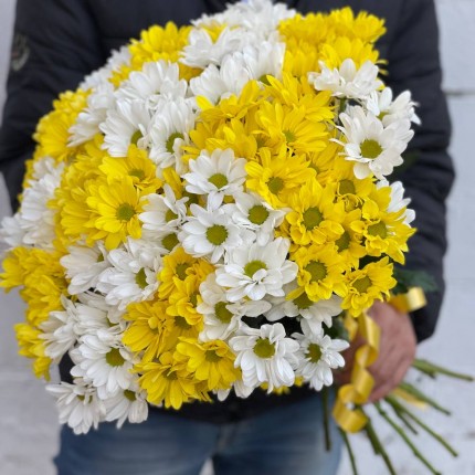 Букет из разноцветных хризантем - купить с доставкой в по Томску