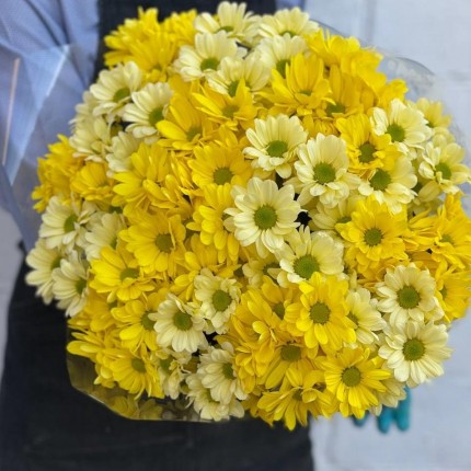 желтая кустовая хризантема - купить с доставкой в по Томску